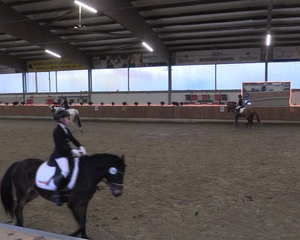Reitturnier Südlohn-Oeding 2017