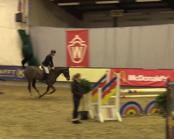 Reitturnier Münster-Handorf 2017