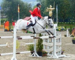 stallion Roughan Sparrow (Connemara Pony, 2003, from Glenayre Silver Fox)