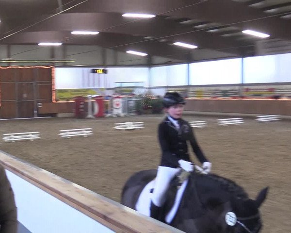 Reitturnier Südlohn-Oeding 2017