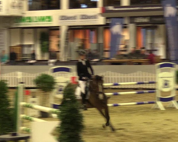 Reitturnier Münster-Handorf 2017