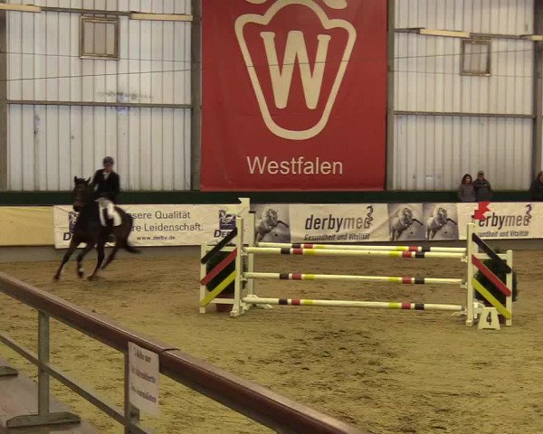 Reitturnier Münster-Handorf 2017