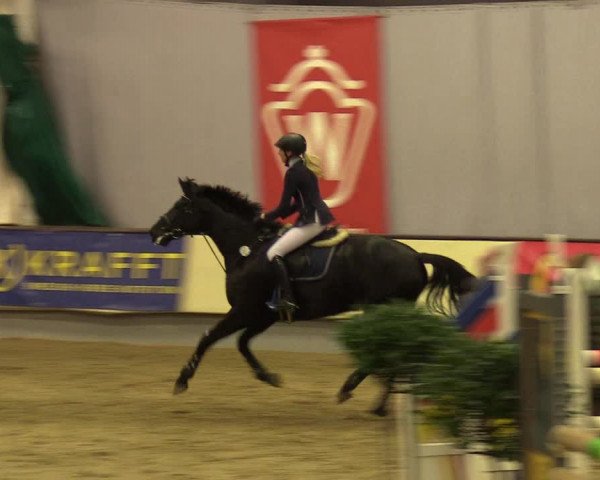 Reitturnier Münster-Handorf 2017