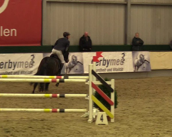 Reitturnier Münster-Handorf 2017