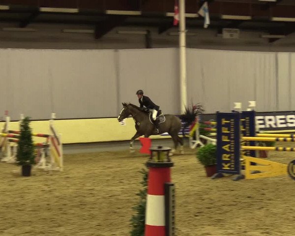 Reitturnier Münster-Handorf 2017