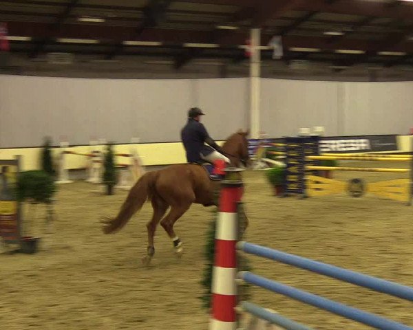 Reitturnier Münster-Handorf 2017