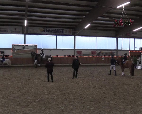 Reitturnier Südlohn-Oeding 2017