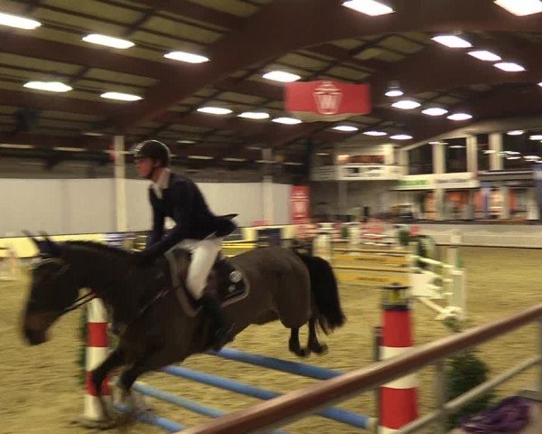 Reitturnier Münster-Handorf 2017