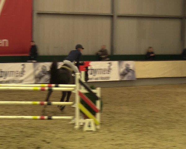 Reitturnier Münster-Handorf 2017