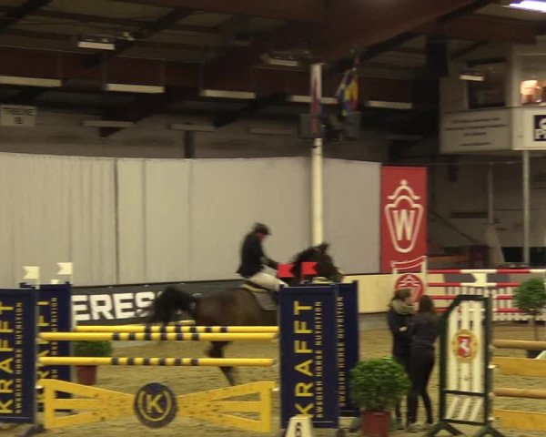 Reitturnier Münster-Handorf 2017