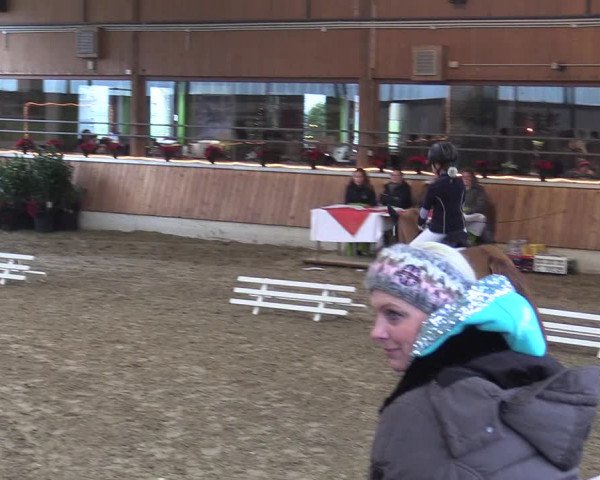 Reitturnier Südlohn-Oeding 2017