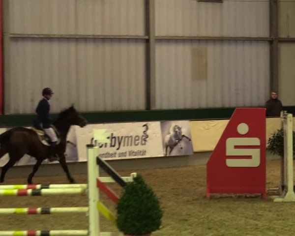 Reitturnier Münster-Handorf 2017