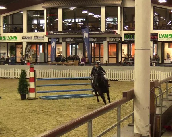 Reitturnier Münster-Handorf 2017