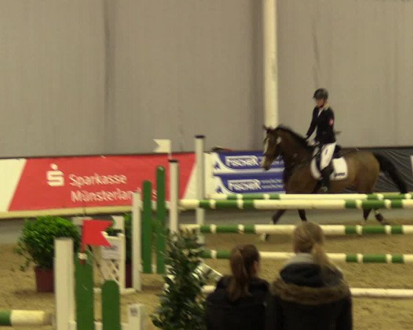 Reitturnier Münster-Handorf 2017