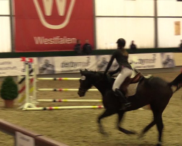 Reitturnier Münster-Handorf 2017