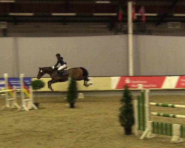 Reitturnier Münster-Handorf 2017
