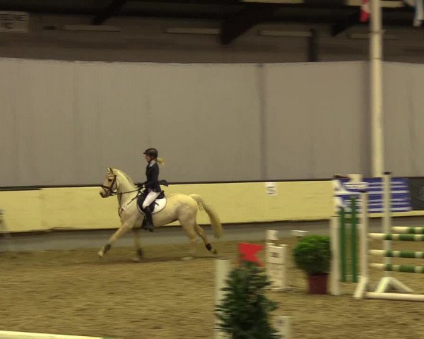 Reitturnier Münster-Handorf 2017