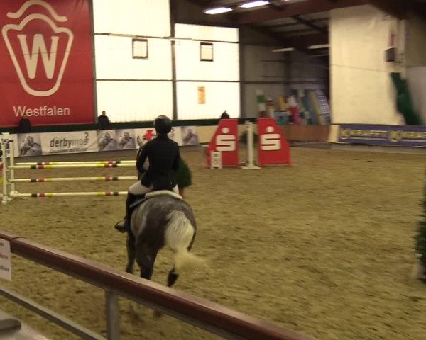Reitturnier Münster-Handorf 2017