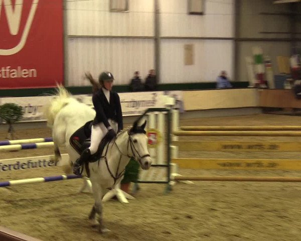 Reitturnier Münster-Handorf 2017