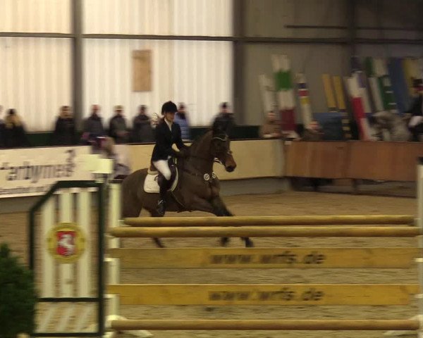 Reitturnier Münster-Handorf 2017