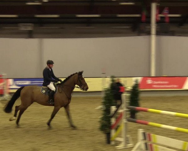 Reitturnier Münster-Handorf 2017