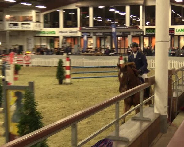 Reitturnier Münster-Handorf 2017