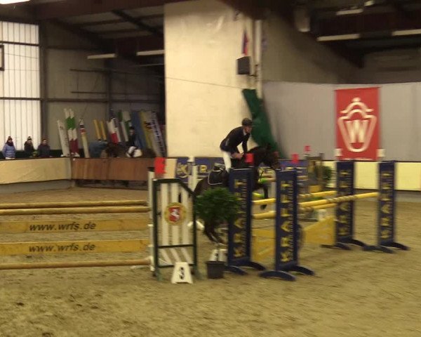 Reitturnier Münster-Handorf 2017