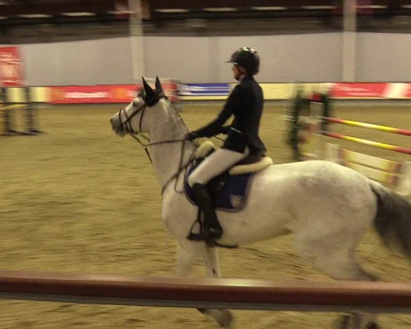 Reitturnier Münster-Handorf 2017