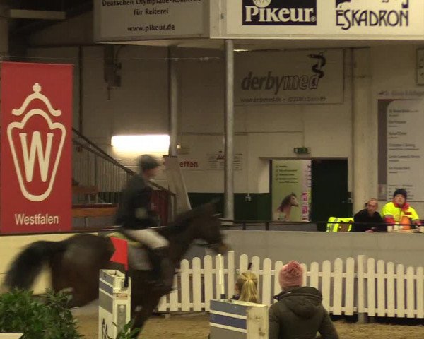 Reitturnier Münster-Handorf 2017