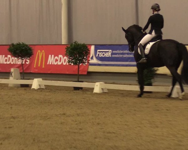 Reitturnier Münster-Handorf 2017