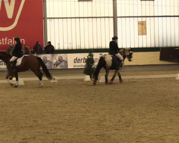 Reitturnier Münster-Handorf 2017