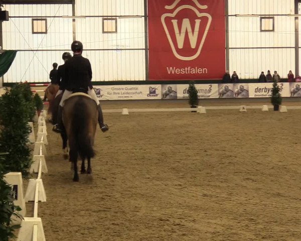 Reitturnier Münster-Handorf 2017