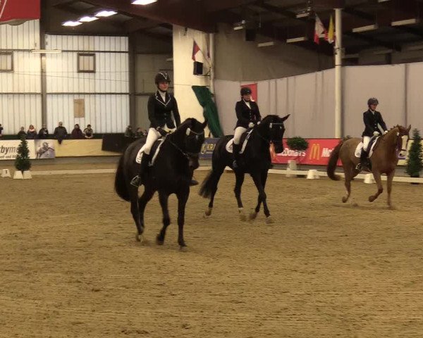 Reitturnier Münster-Handorf 2017