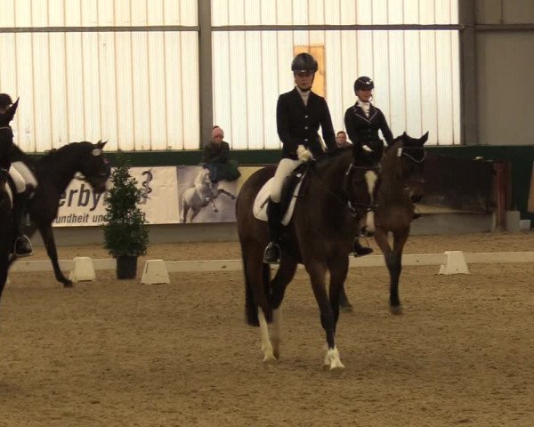 Reitturnier Münster-Handorf 2017