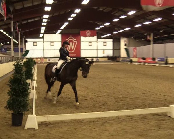 Reitturnier Münster-Handorf 2017