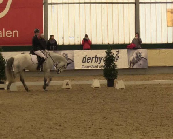 Reitturnier Münster-Handorf 2017