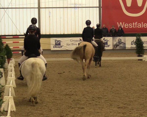 Reitturnier Münster-Handorf 2017
