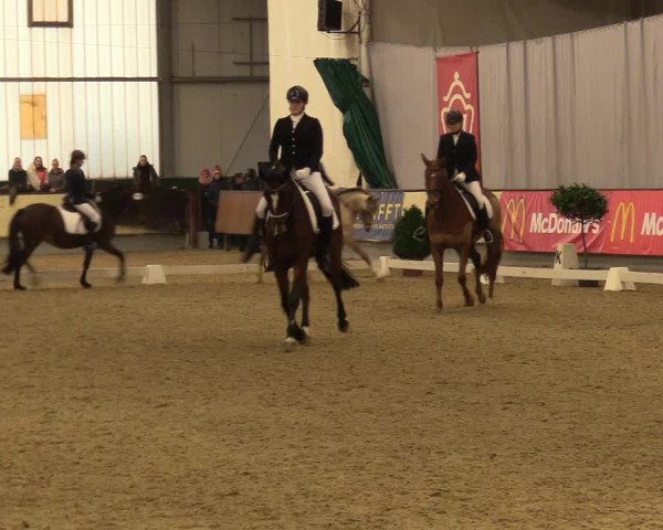 Reitturnier Münster-Handorf 2017