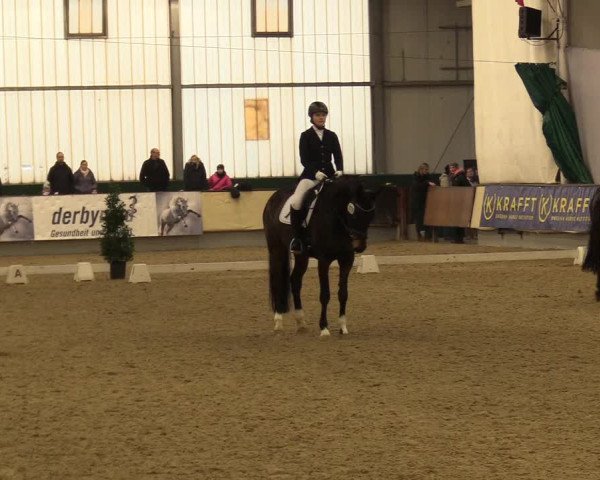 Reitturnier Münster-Handorf 2017