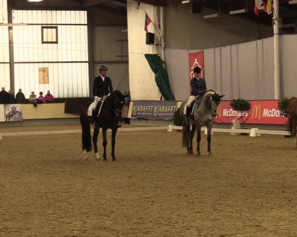 Reitturnier Münster-Handorf 2017
