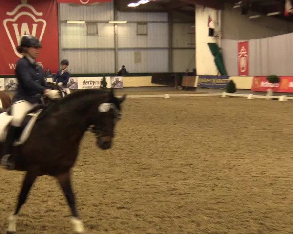 Reitturnier Münster-Handorf 2017