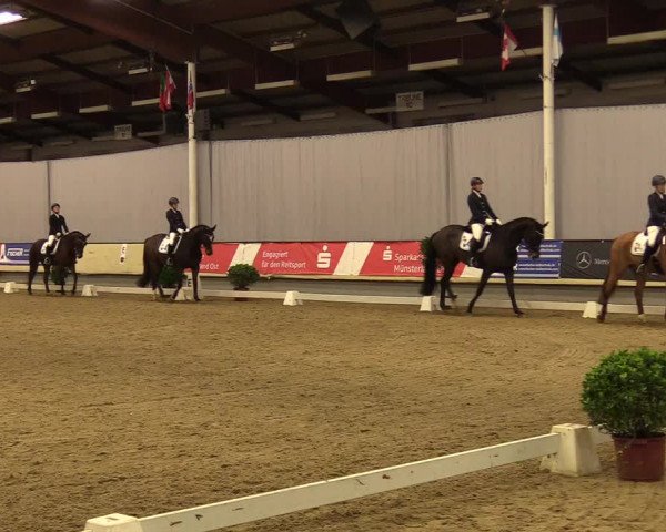 Reitturnier Münster-Handorf 2017