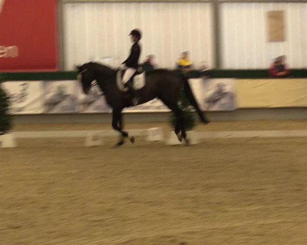 Reitturnier Münster-Handorf 2017