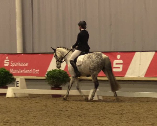 Reitturnier Münster-Handorf 2017