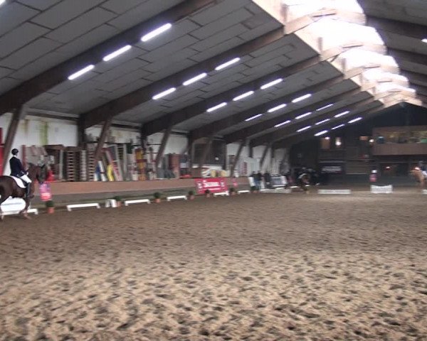Reitturnier Hamburg-Hummelsbüttel 2017