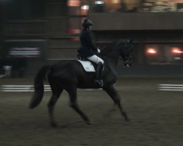 Reitturnier Hamburg-Hummelsbüttel 2017