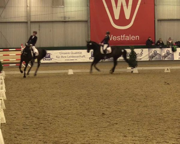Reitturnier Münster-Handorf 2017