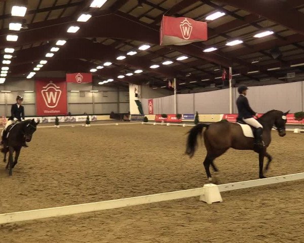 Reitturnier Münster-Handorf 2017