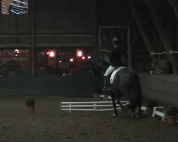 Reitturnier Hamburg-Hummelsbüttel 2017
