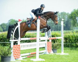 broodmare Sweet Martini (Mecklenburg, 2012, from Stalypso)